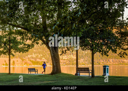 Frau Joggen im City Park, Kelowna, Okanagan Region, British Columbia, Kanada. Stockfoto
