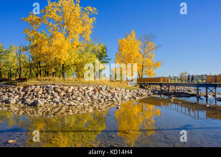 Herbst Farbe, Saint Patricks Insel, Calgary, Alberta, Kanada. Stockfoto