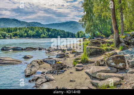 Sommer Landschaft auf dem felsigen Ufer des schnellen sibirischen Fluss Katun, Felsen aus Kalkstein mit Moos bedeckt, dichten Wald auf beiden Banken, altai Doppelzi. Stockfoto