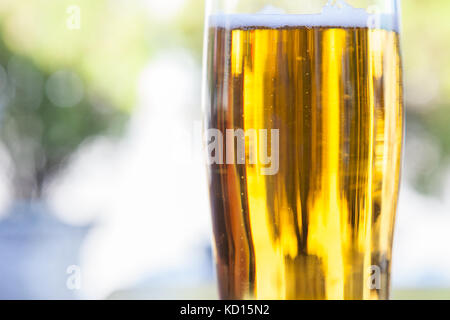 Nahaufnahme auf einem Bierkrug mit einem hellen Bier, Pils/lager Stil, serviert in einem Standard pint Größe Bild aus einem Bierkrug mit einem Pint Licht Stockfoto