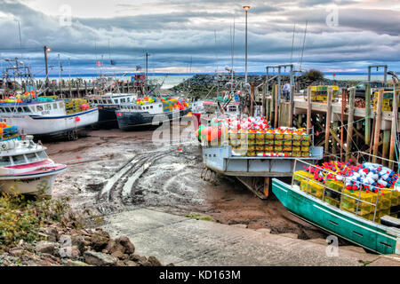 Fischerboote bei Ebbe, Bucht von Fundy, Alma, New Brunswick, Kanada Stockfoto