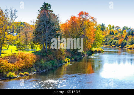Kennebecasis Fluss, Norton, New Brunswick, Kanada Stockfoto