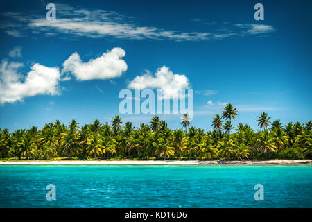 Palmen und tropischen Strand, Dominikanische Republik Stockfoto