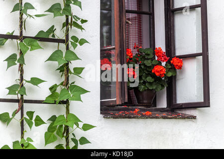 Rote Geranien in Keramik-Topf auf der Fensterbank des Dorfes Hütte, Tschechische Republik Stockfoto