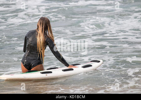 Junge blonde australische Frau in Neoprenanzug hält ihr Surfbrett im Ozean, Sydney, Australien Rückansicht langes blondes Haar Stockfoto