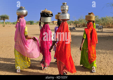 Indischen ethnischen Frauen gehen für das Wasser in der Wüste Rajasthan, Indien. Thar Wüste in der Nähe von jaisamler. Stockfoto