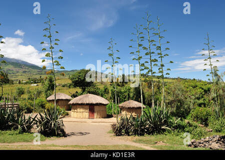 Traditionelle runde Schlamm Haus in Afrika in der Nähe von Arusha in Tansania Stockfoto