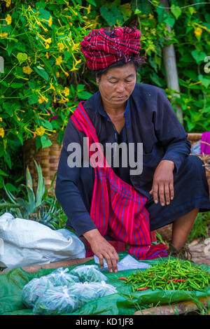 Portrait von Pao Stamm Frau im Shan Staat Myanmar Stockfoto