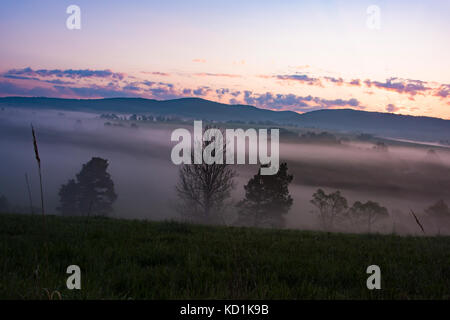 Red neblige Landschaft Panorama in die Berge. Fantastische verträumte Sonnenaufgang am Wald Berge mit Blick auf nebligen nebligen Tal Stockfoto