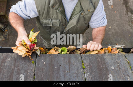 Reinigung Herbst Blätter aus der Dachrinne Stockfoto