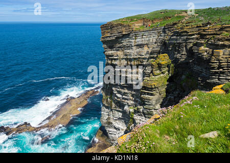 Klippen bei Marwick Head, Orkney Mainland, Schottland, Großbritannien. Stockfoto