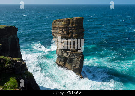 The North Gaulton Castle Sea Stack, Yesnaby, Orkney Mainland, Schottland, Großbritannien. Stockfoto