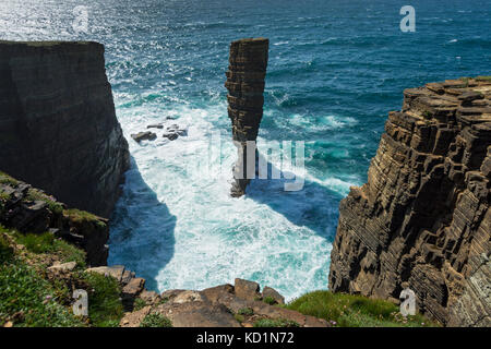 The North Gaulton Castle Sea Stack, Yesnaby, Orkney Mainland, Schottland, Großbritannien. Stockfoto