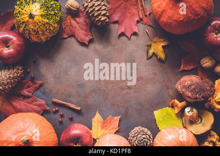Herbst essen Grenze Hintergrund mit Kürbisse, Äpfel, Tannenzapfen, Gewürze, Pilze, Beeren und gefallenen Blätter mit Kopie Platz für Text. top View Stockfoto