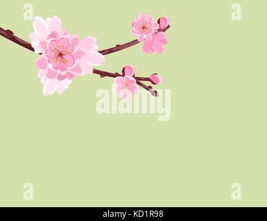 Zweig mit sanften Blumen und üppiger cherry Knospen. Sakura. Ohne ein Gitter und Gradient isoliert. Abbildung Stock Vektor
