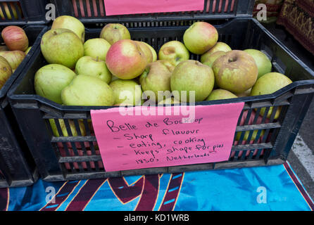 Belle de Boskoop Äpfel zum Verkauf auf einen Markt von Bauer. Stockfoto