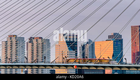 Rotterdam, die Erasmus-Brücke der Niederlande, ganz in der Nähe der Drähte mit der Skyline der Innenstadt bei Sonnenuntergang. Elektrische Straßenbahn von rechts nach links Stockfoto