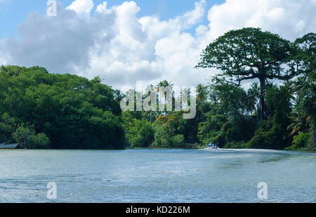 Das nariva River an der Ostküste von Trinidad an einem sonnigen Tag. Stockfoto