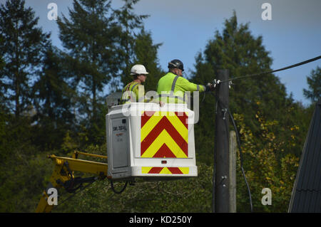 Power Company Arbeitnehmer arbeiten an Freileitungen von Cherry Picker, Mid Wales Stockfoto