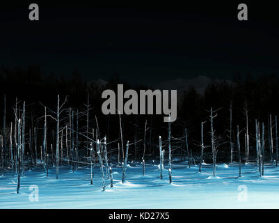 Nächtliche Beleuchtung am Blauen Teich (Aoiike) im Kamikawa District, Biei, Hokkaido, Japan, im Winter Stockfoto