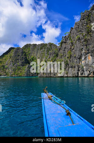 Marine von coron Island, Philippinen. coron ist die drittgrößte Insel der calamian Inseln im Norden von Palawan. Stockfoto