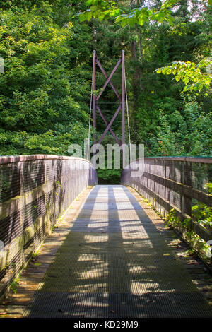 Blick über die Inverted Bowstring Bridge über den Roe River im Roe Valley Landschaftspark in der Nähe von Limavady in der Grafschaft Londonderry in Nordirland Stockfoto