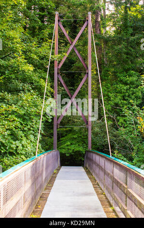 Blick über die Inverted Bowstring Bridge über den Roe River im Roe Valley Landschaftspark in der Nähe von Limavady in der Grafschaft Londonderry in Nordirland Stockfoto