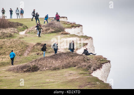 Birling Gap, Eastbourne, East Sussex, Großbritannien. Oktober 2017. Die Stufen des Strandzugangs sind wegen der Erosion von Chalk Cliff für wichtige Sicherheitsarbeiten geschlossen und sehen mehr Aktivität auf den Cliffs oberhalb des Sussex Beauty Spot. Während die Mehrheit einen sicheren Abstand zum Rand behält, gehen einige immer noch extreme Risiken ein. Stockfoto