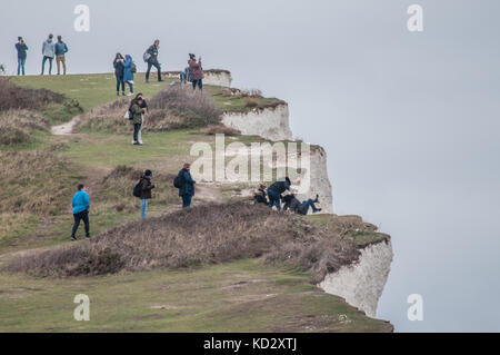 Birling Gap, Eastbourne, East Sussex, Großbritannien. Oktober 2017. Die Stufen des Strandzugangs sind wegen der Erosion von Chalk Cliff für wichtige Sicherheitsarbeiten geschlossen und sehen mehr Aktivität auf den Cliffs oberhalb des Sussex Beauty Spot. Während die Mehrheit einen sicheren Abstand zum Rand behält, gehen einige immer noch extreme Risiken ein. Stockfoto