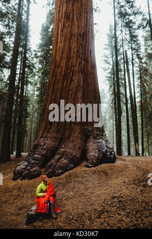 Junge männliche Wanderer in roten Schlafsack eingewickelt in Sequoia Sequoia National Park, Kalifornien, USA Stockfoto