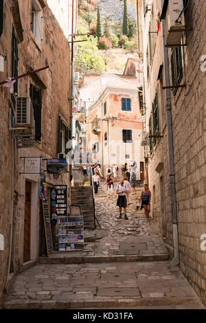 Altstadt von Kotor, Montenegro Stockfoto