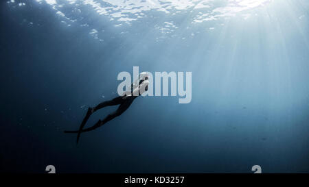 Unterwasseransicht der weiblichen free Diver bis hin zu Sonnenstrahlen, New Providence, Bahamas Stockfoto