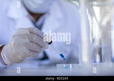 Labor Arbeitnehmer mit Pipette, tropfende Flüssigkeit in Petrischale, close-up Stockfoto