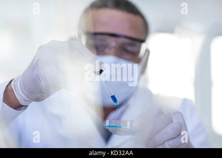 Labor Arbeitnehmer mit Pipette, tropfende Flüssigkeit in Petrischale Stockfoto