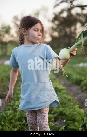 Junge Mädchen auf Bauernhof, frisch gepflückt Zwiebel Stockfoto