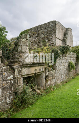 Jervaulx Abtei, North Yorkshire, England. Stockfoto