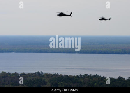 Zwei, dem Angriffsbataillon 151 zugewiesene AH-64D-Apaches der US-Armee, South Carolina Army National Guard, fliegen über die Naval Air Station Jacksonville, Florida, 11. März 2014. Die Apachen sind in Jacksonville, um mit dem U.S. Navy Helicopter Anti Submarine Squadron 11 in Anti-Oberflächen-Kriegsführung und Kampf Such-und Rettungsaktionen zu trainieren. (USA Air National Guard Foto von Tech. Sgt. Jorge Intriago/Freigegeben) Stockfoto