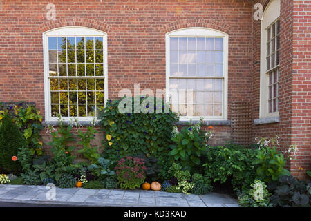 Ein Sturz themed Garten vor einem Backsteingebäude mit glänzenden Multi verglasten Fenster im Hintergrund. Stockfoto