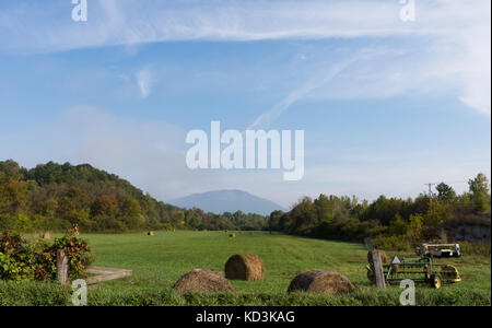 Große runde Heuballen die Länge einer grünen Wiese mit einem Berg in der Ferne und dünne Wolken über verstreut. Stockfoto