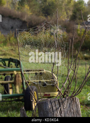 Ein Spinnennetz zwischen Zweigen mit Wassertropfen gewebt. ein Stück von landwirtschaftlichen Geräten im Hintergrund ist. geringe Tiefenschärfe. Stockfoto