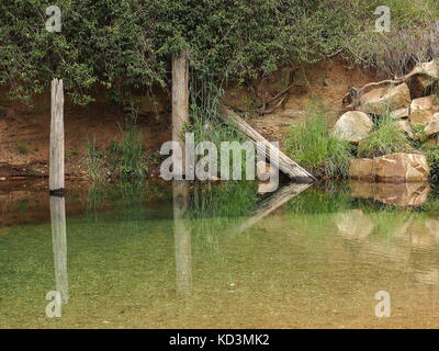 Ein ruhiger Bach/Teich mit Logs, Pflanzen und Felsen auf der ruhigen Oberfläche des Wassers im Land Australien widerspiegelt. Klares, frisches Wasser Strom. Stockfoto