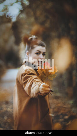 Herbst Zeit Fotografie Stockfoto