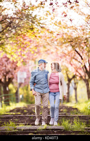 Schönes älteres Ehepaar in Liebe auf einem Spaziergang ausserhalb im Frühjahr die Natur unter blühenden Bäumen. Stockfoto