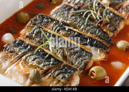 Makrele mit Kapern, Oliven, Zwiebeln gebacken in Tomatensauce Makro in einer Auflaufform. Horizontale Stockfoto