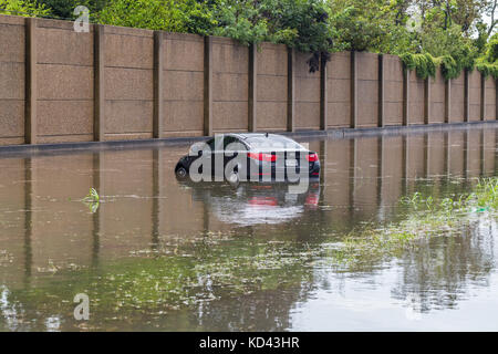 Autos unter Wasser vom Hurrikan Harvey in Houston, Texas, USA. Schwere Regenfälle vom Hurrikan verursachten verheerenden Überschwemmungen in der Stadt und den Vororten Stockfoto