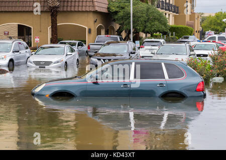 Autos unter Wasser vom Hurrikan Harvey in Houston, Texas, USA. Schwere Regenfälle vom Hurrikan verursachten verheerenden Überschwemmungen in der Stadt und den Vororten Stockfoto