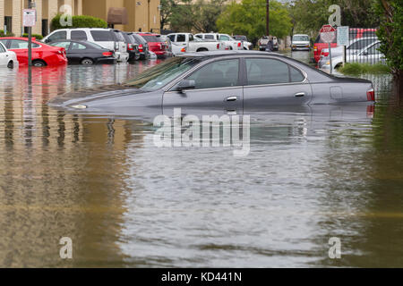 Autos unter Wasser vom Hurrikan Harvey in Houston, Texas, USA. Schwere Regenfälle vom Hurrikan verursachten verheerenden Überschwemmungen in der Stadt und den Vororten Stockfoto