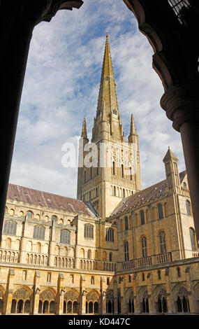 Ein Blick auf den Turm und den Turm der Kathedrale vom Kreuzgang in Norwich, Norfolk, England, Vereinigtes Königreich. Stockfoto