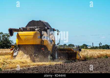 Mähdrescher bei der Arbeit im lokalen Bereich, North East England. Stockfoto