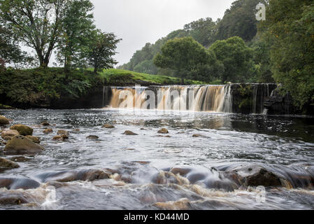 Wain wath Kraft in der Nähe von keld in oberen Swaledale, North Yorkshire, England. Stockfoto